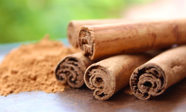 The Healing Properties of Cinnamon: What You Need To Know